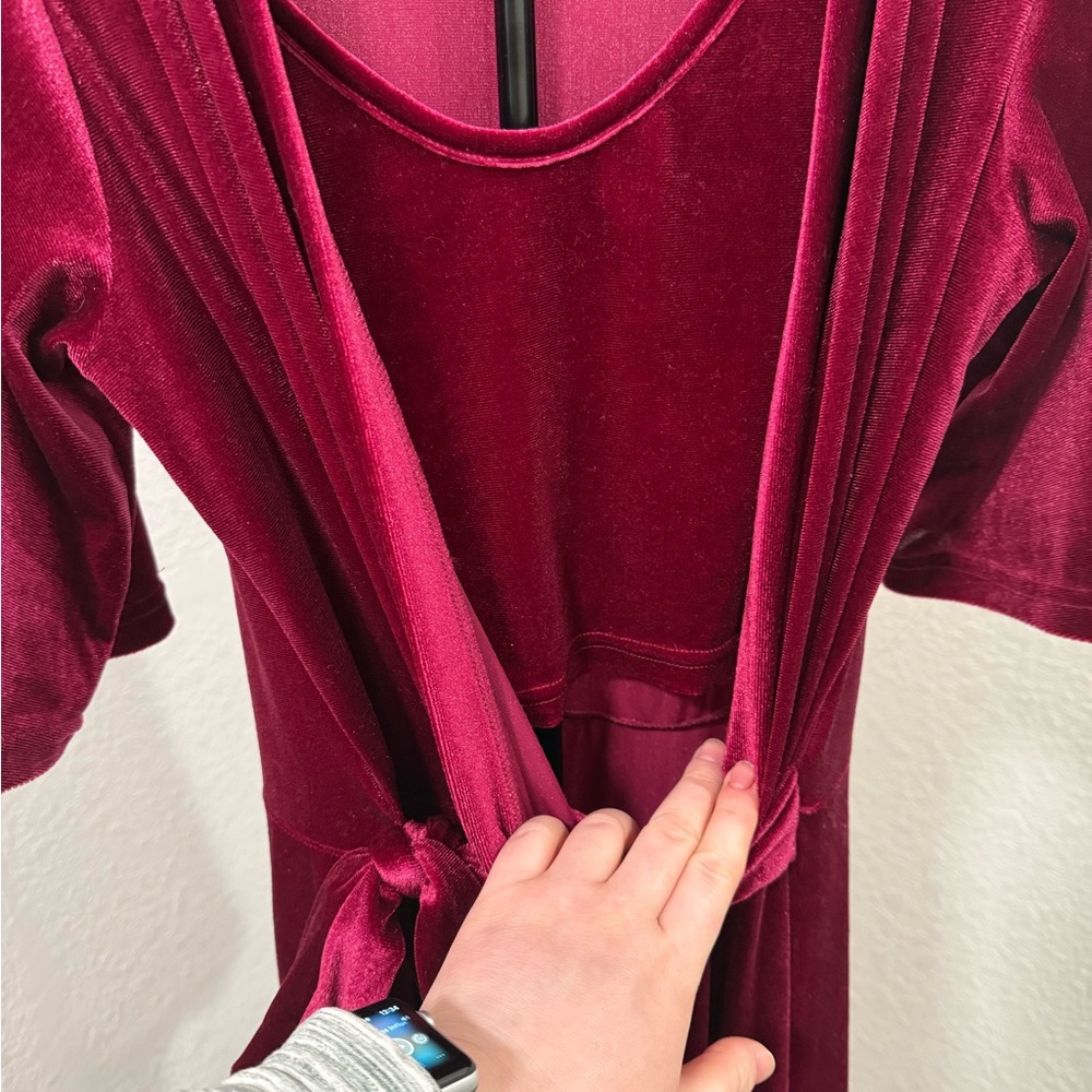 Latched Mama Deep Red Velvet Dress - Picture 4 of 4